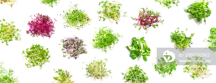 Collage of different microgreens on a white background. Selective focus.