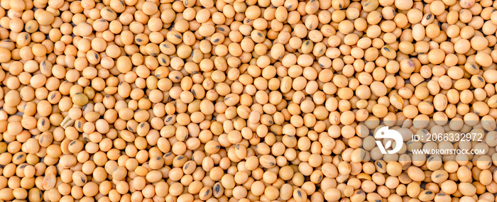 Yellow soybean grain. Top view Soybean pattern as for background. Raw dehydrated soybeans texture background top view.