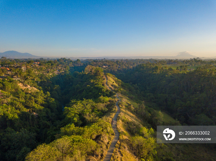 Aerial view of Campuhan Ridge Walk, Quiet morning scenic Green Hill in Ubud Bali, Indonesia