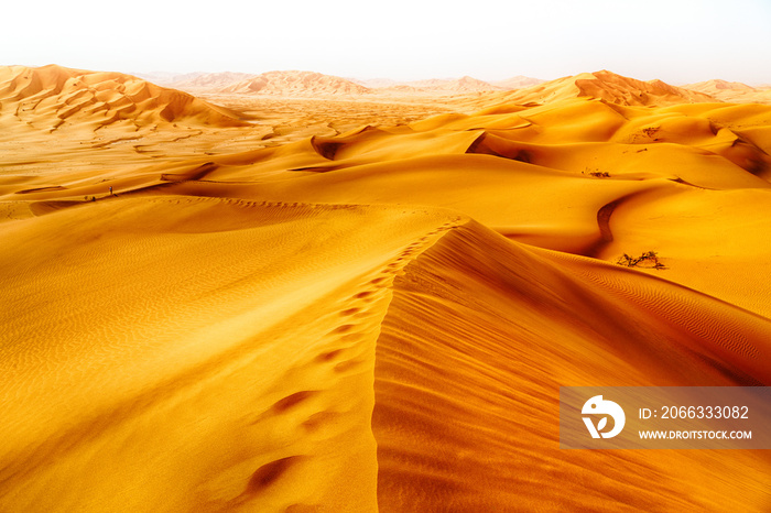 in oman old desert  rub al khali the empty  quarter and outdoor  sand dune