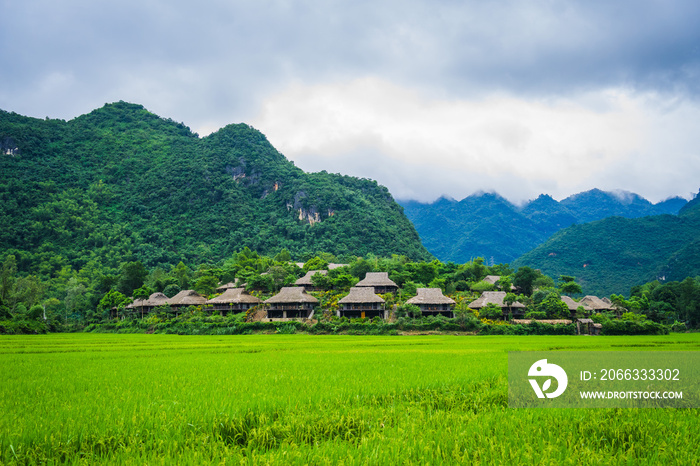 A cluster of home stay and local houses on a hillside between a green rice field and mountains, Mai Chau Valley, Vietnam, Southeast Asia.