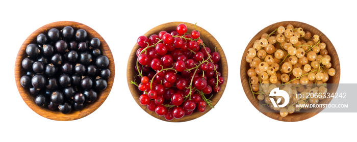 Set of different color currants isolated on white background cut out. White, red and black currant in a wooden bowl with copy space for text. Top view.