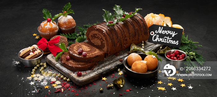 Chocolate yule log on dark background.