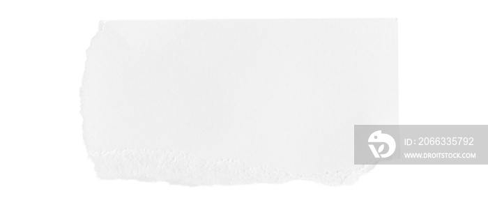 White ripped piece of paper isolated on transparent background PNG file