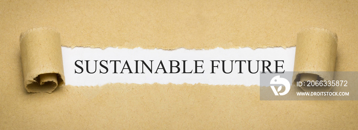 Sustainable Future