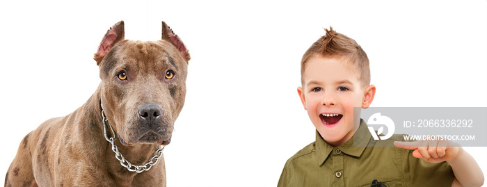 Portrait of laughing boy, pointing finger on a dog, isolated on a white background