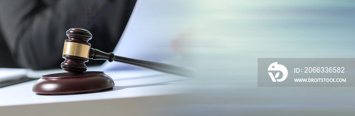 Lawyer reading legal document; panoramic banner