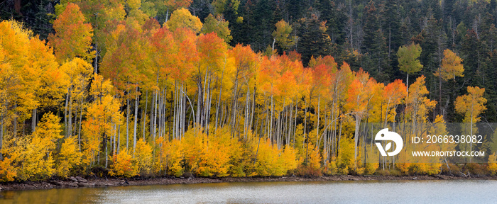 Kolob Reservoir Autumn