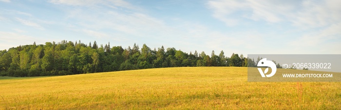 Dramatic sky above the hills of a green plowed agricultural field and forest. Sunrise. Glowing clouds after the rain and storm. Pure sunlight. Idyllic summer rural scene. Nature, ecology, ecotourism