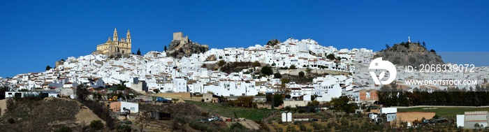 Vista panorámica de Olvera, Cádiz, Andalucía, España