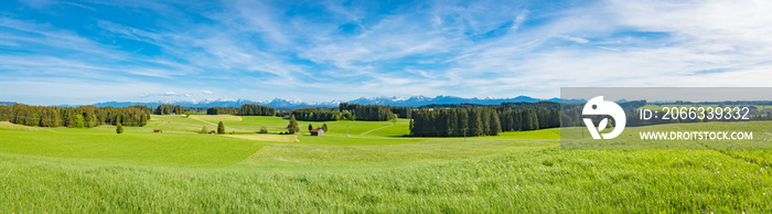 Grüne Wiesenlandschaft im  Allgäu, Panorama