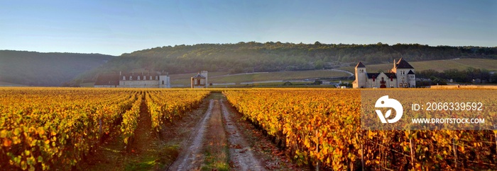 Vignoble du Clos de Vougeot sous le soleil d’automne.