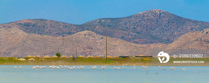 Salt lake Alikes with flamingos with mountains of the Greek island Pserimos in the distance (Kos island, Greece)