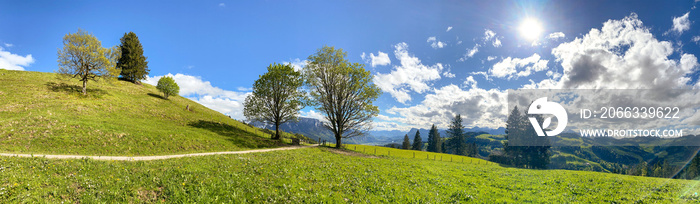 View to Inntal and Wilder Kaiser mountain range in the Alps, Building land for new construction project on green sunny meadow, plot for construction area in early summer