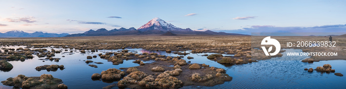 Nature of Altiplano