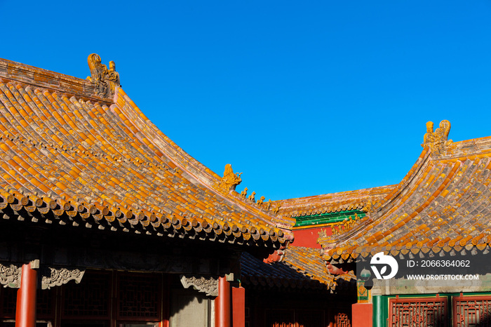 北京故宫博物院的屋脊