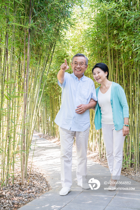 一对老夫妻在竹林散步