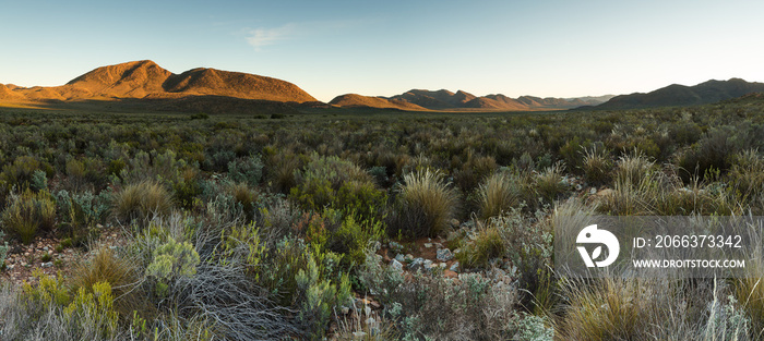 Wide angle panoramic view over the plains of the karoo just outside touwsrivier in the western cape of south africa