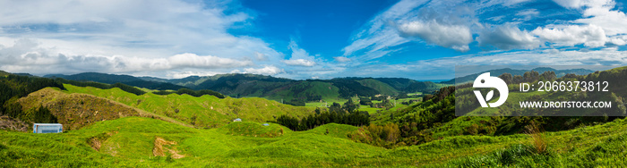 Hills of New Zealand