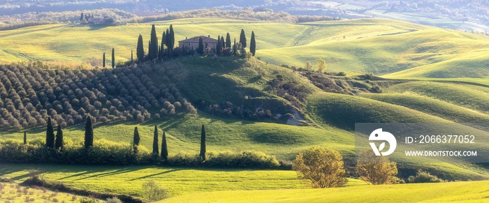 Tuscany hill landscape. Waves hills, rolling hills, minimalistic landscape with green fields in the Tuscany. Val D’orcia in the province of Siena, Italy Beautiful sunny day.