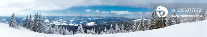 Fantastic winter landscape. Blue sky. Carpathian, Ukraine, Europe. Beauty world