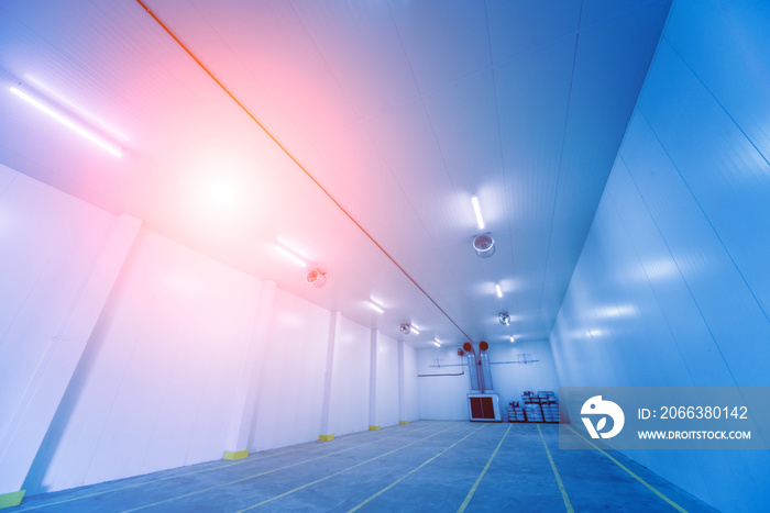 Empty industrial freezer warehouse for vegetable storage.