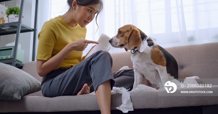 A young woman scolds her dog for destroying household items.