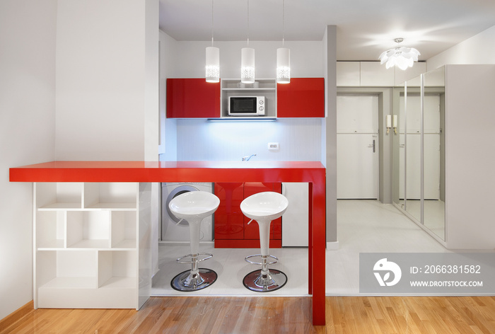 Modern studio flat or hotel kitchen in red