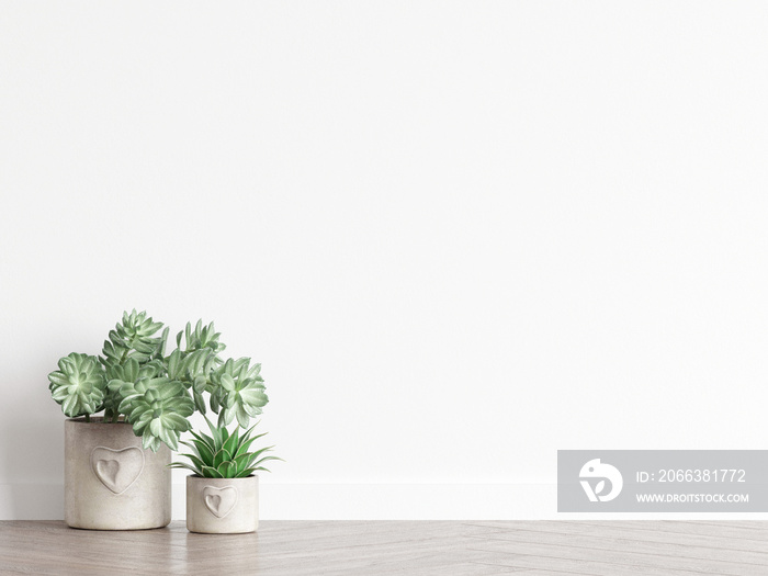 plant in minimalist interior, white wall mockup, 3d render