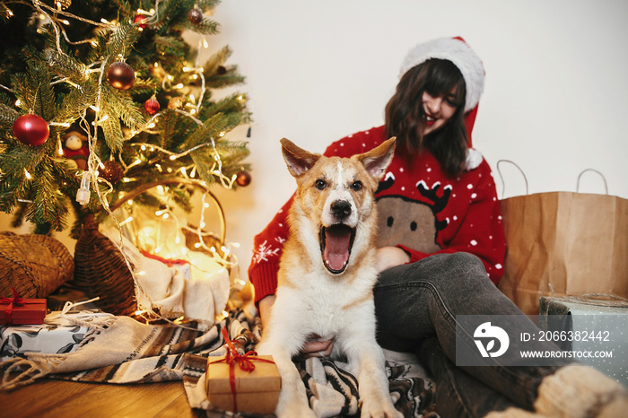 cute dog with gift sitting with happy girl in santa hat on background of golden beautiful christmas 