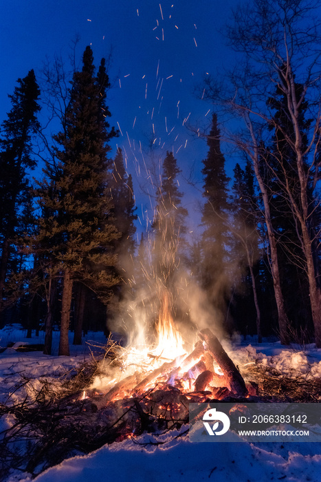 Campfire in the winter snow in the forrest