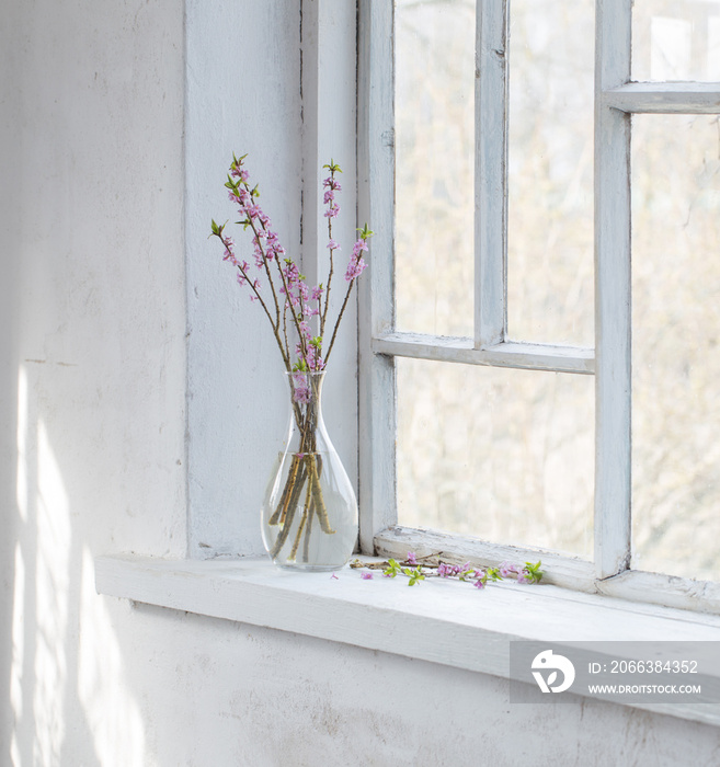 daphne flowers in vase on vintage windowsill