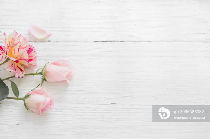 roses on white wooden background