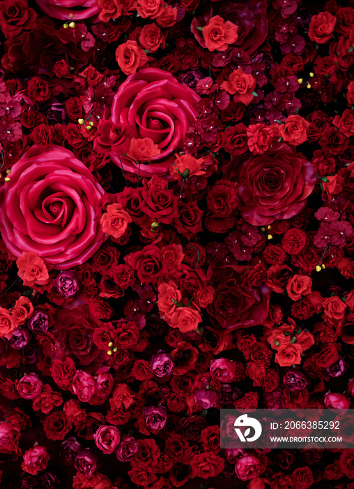 Red roses texture background.