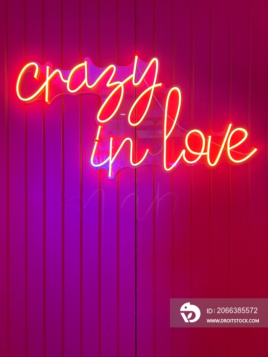 neon sign crazy in love