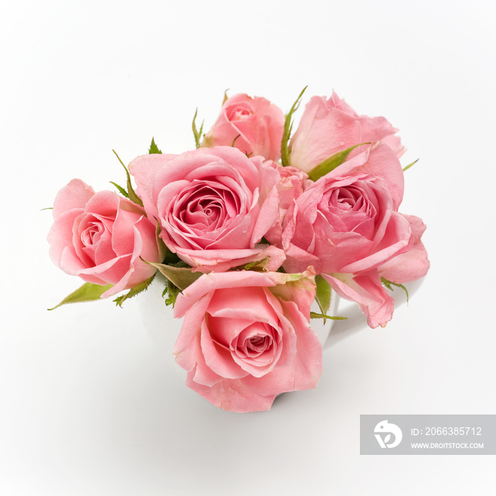 still life of pink rose in ceramic cup