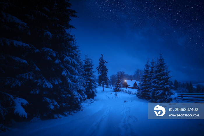 Fairytale carpathian winter night