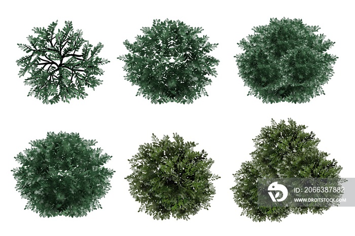 set of watercolor tree top view for landscape plan and architecture layout