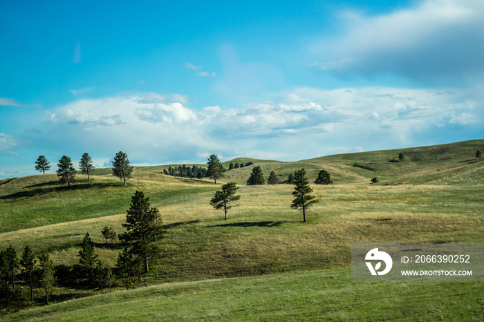 A beautiful overlooking view of nature in Custer State Park, South Dakota