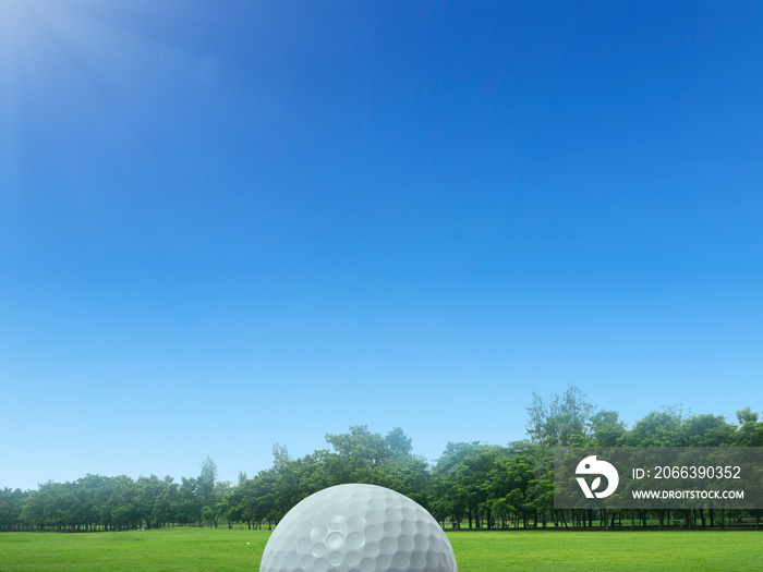 Golf ball on green grass in beautiful golf course in Thailand. Golf ball on Green field golf course in morning time with soft sunlight