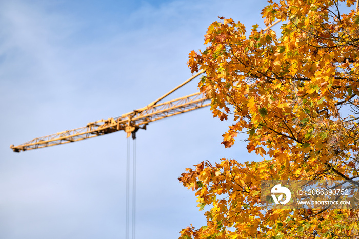 Beautiful maple tree in yellow autumn colors in front of blue sky and a crane at a construction site in October in Germany