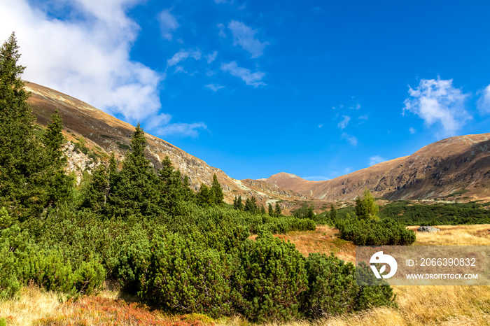 Panoramic view on summit of Seckauer Zinken in the Lower Tauern in Styria, Austria, Europe. Sunny golden autumn day in Seckau Alps. Hiking trail on dry, yellow, bare grassland terrain. Forest