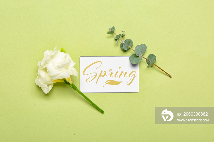 Card with word SPRING, freesia flowers and eucalyptus branch on color background