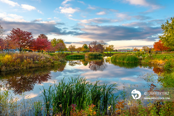 Prairie Lakes Park in Des Plaines Town of Illinois