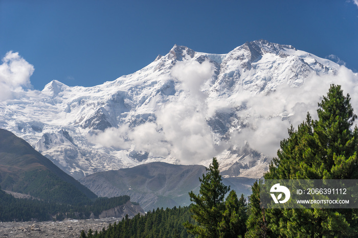 Nanga Parbat mountain massif in Himalaya mountains range and pine tree view from Fairy meadow in summer season, Chilas, Pakistan, Asia