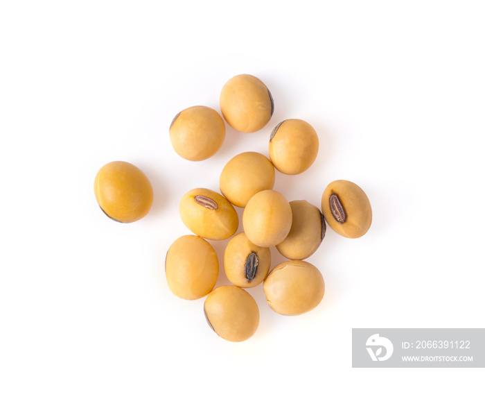 Close up Soybean isolated on a white background. top view