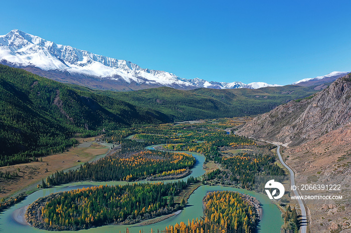 landscape altai russia, autumn top view, drone over the forest