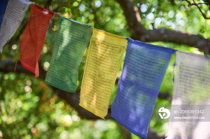 tibetan flags closeup