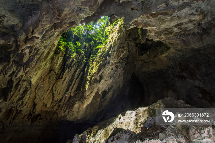 Clear Water Cave, Mulu National Park, Sarawak, Malaysia