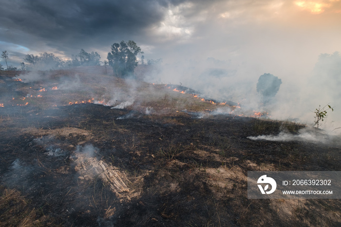 Bushfire, Burned black land on hill in Australia